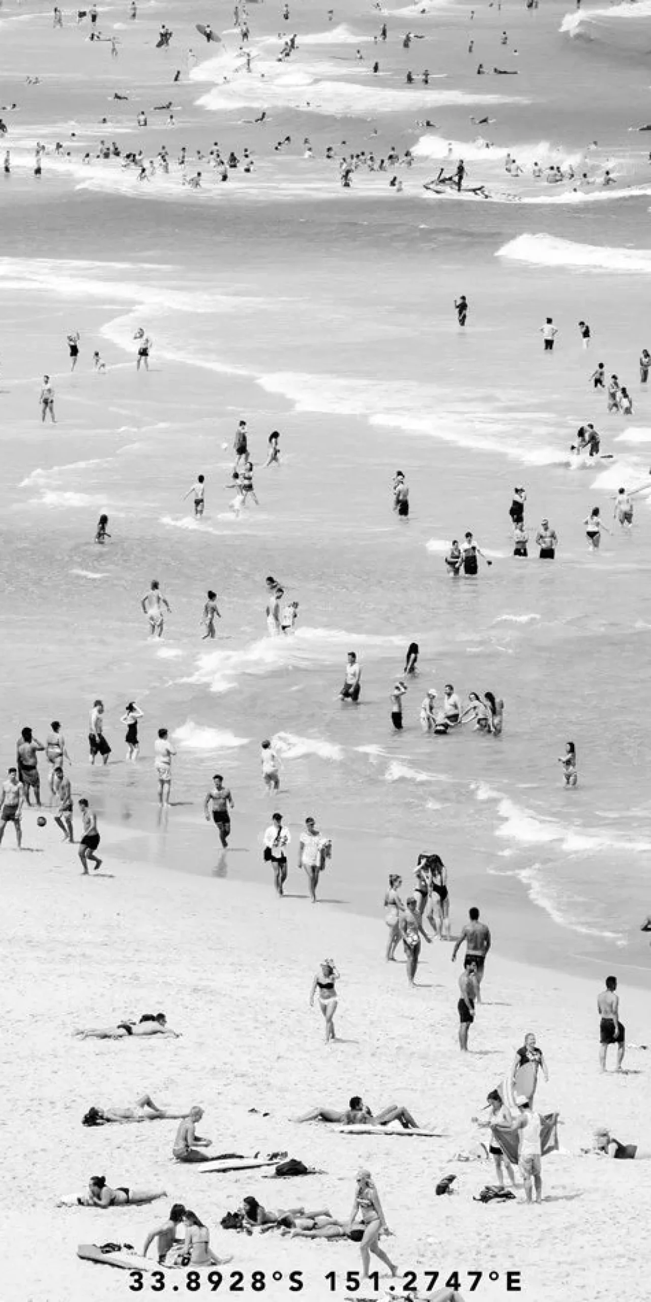 Destination Towels BEACH SCENE