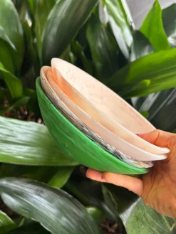 NASHI Everyday Small Bowl PERIDOT