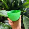 NASHI Small Deep Bowl PERIDOT