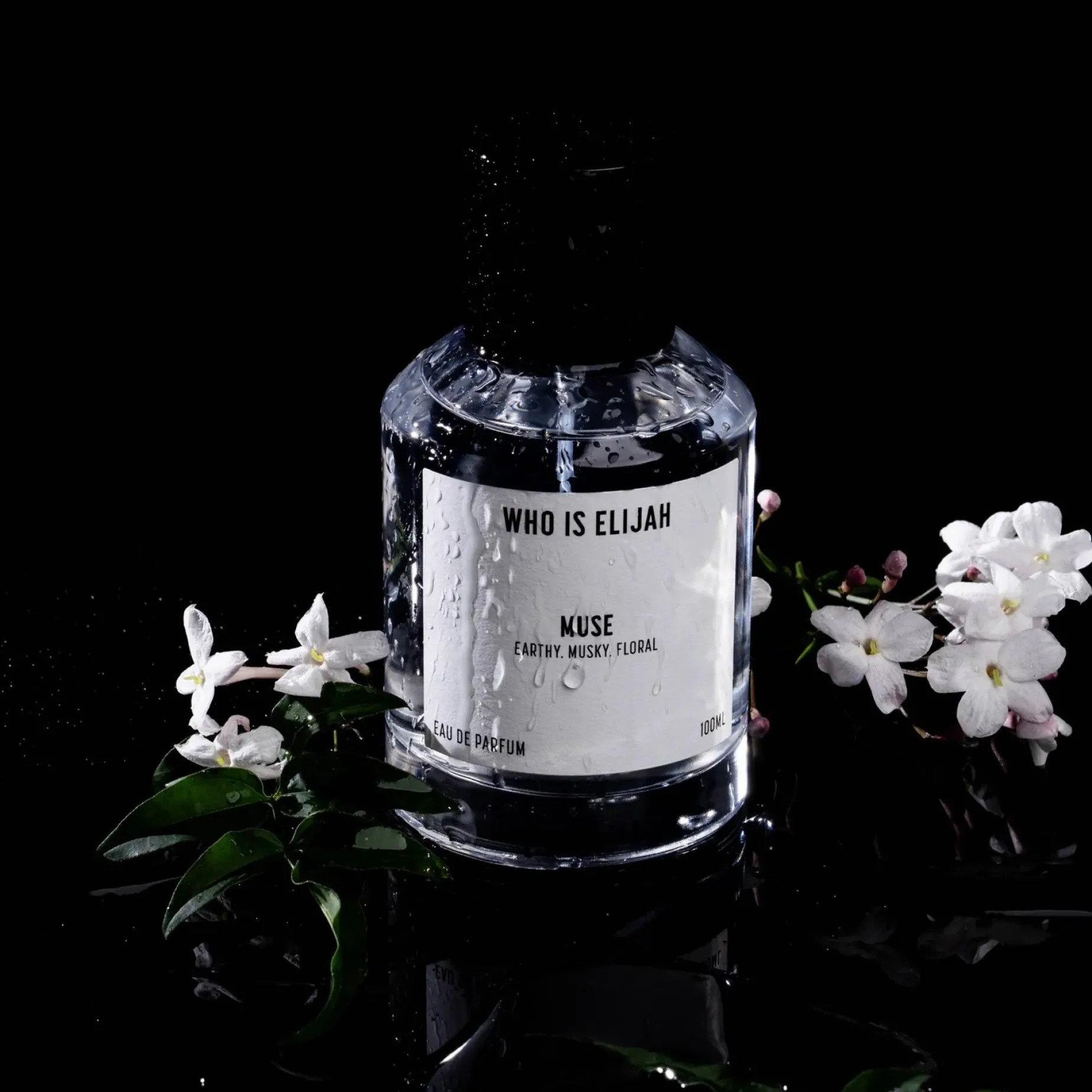 WHO IS ELIJAH Muse 50ML